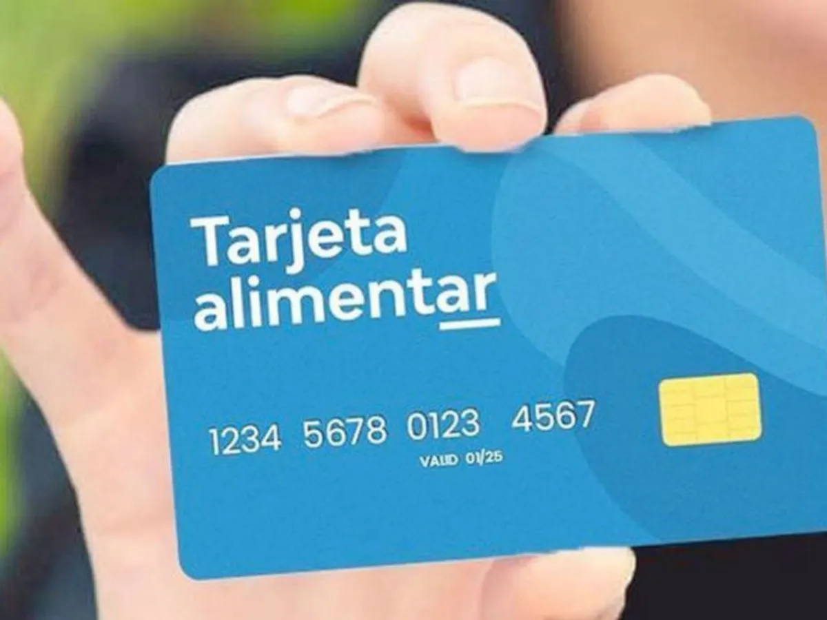 La Tarjeta Alimentar está dirigido a titulares de Pensiones No Contributivas (PNC), Asignación Universal por Hijo (AUH) y Asignación Universal por Embarazo (AUE).