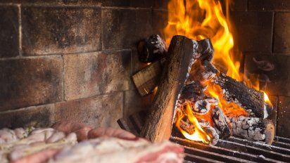 No tires la ceniza del asado: 3 trucos ecológicos para reutilizarla en el jardín