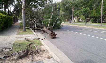 por el temporal de viento, hay barrios sin luz en santa fe y santo tome por el temporal de viento, hay barrios sin luz en santa fe y santo tome