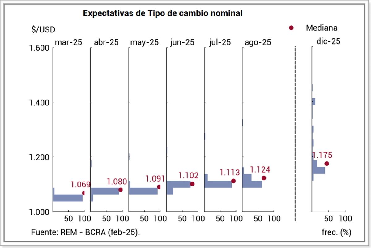 Fuente: REM - BCRA