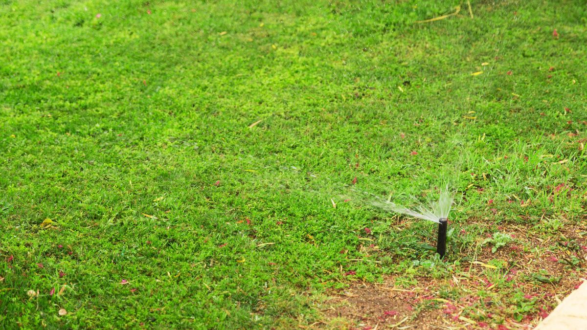 Con cuidados adecuados