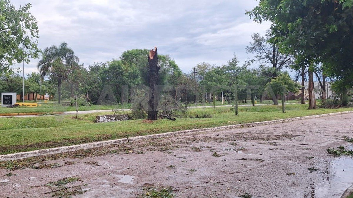 Fuerte temporal de viento en el norte provincial: hubo voladuras de techos y árboles caídos 