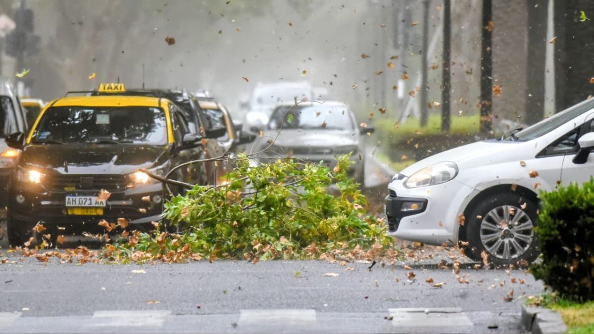 Este miércoles por la mañana en Rosario estuvo marcado por intensas ráfagas de viento.
