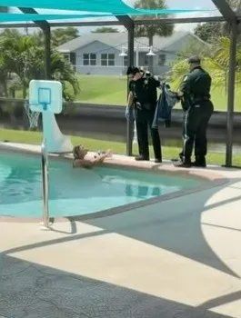 La mujer se resistió a ser detenida.