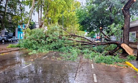 El viento en Rosario alcanzó ráfagas de 102 km/h durante la madrugada de este martes. El viento en Rosario alcanzó ráfagas de 102 km/h durante la madrugada de este martes.