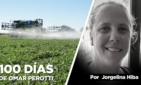 agroquimicos, residuos y cambio climatico, los ejes ambientales de la gestion agroquimicos, residuos y cambio climatico, los ejes ambientales de la gestion