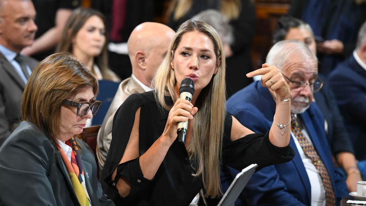 La iniciativa es impulsada por la senadora nacional de Santa Fe, Carolina Losada. La iniciativa es impulsada por la senadora nacional de Santa Fe, Carolina Losada.