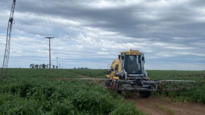 Córdoba: un hombre murió electrocutado mientras fumigaba un campo en Río Cuarto
