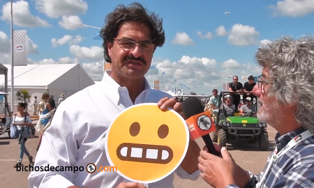 leonardo sarquis jugo con los emojis de bichos de campo leonardo sarquis jugo con los emojis de bichos de campo