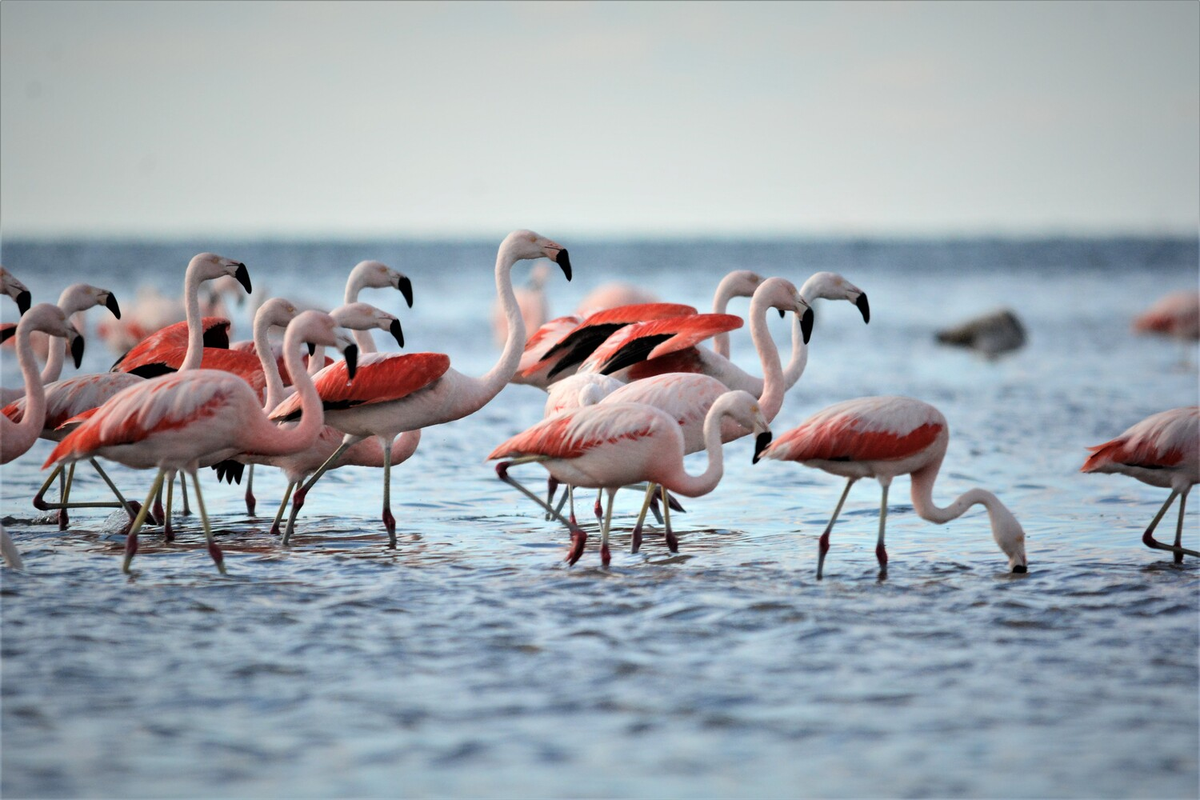 Un fin de semana en una pequeña ciudad con playa y mucha historia. Un fin de semana en una pequeña ciudad con playa y mucha historia.