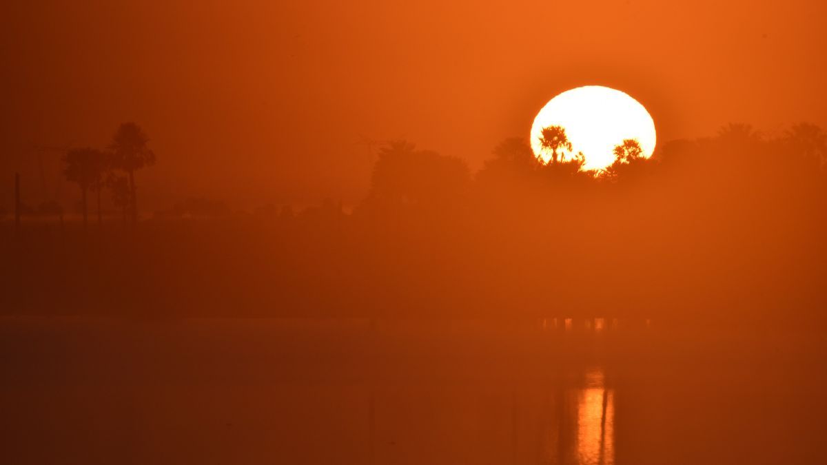 Amanecer en los Esteros del Iberá: un espectáculo único capturado por la lente de Luis Deriuel. Amanecer en los Esteros del Iberá: un espectáculo único capturado por la lente de Luis Deriuel.