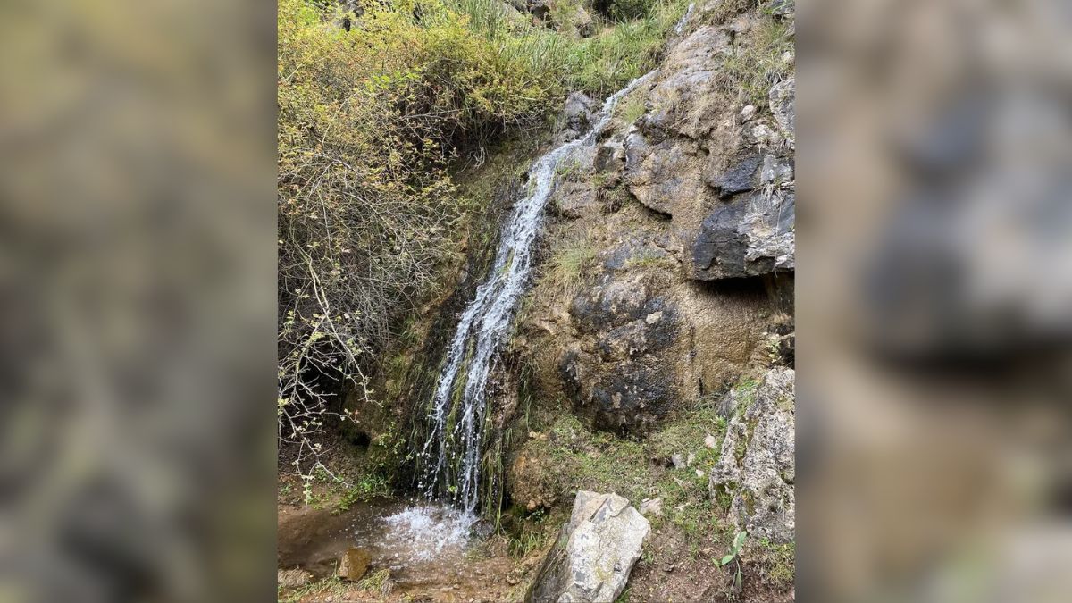 El mantenimiento de estos senderos depende del compromiso de los visitantes, quienes deben evitar dejar residuos para no alterar el equilibrio de las áreas protegidas de Mendoza. El mantenimiento de estos senderos depende del compromiso de los visitantes, quienes deben evitar dejar residuos para no alterar el equilibrio de las áreas protegidas de Mendoza.
