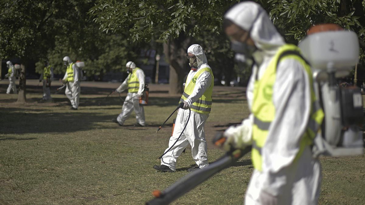 Dengue Récord En Argentina: Ya Se Registraron Más De 230 Mil Casos Y 