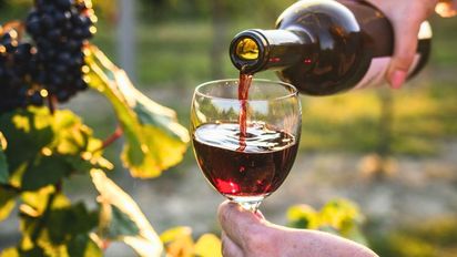 Entre Ríos renace como tierra de vinos: el proyecto familiar que impulsa la vitivinicultura