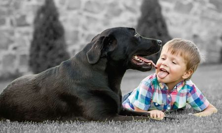 Aire de Santa Fe | PERROS-DE-COMPAÑIA-EDUCACIÓN-ESPECIAL.jpg