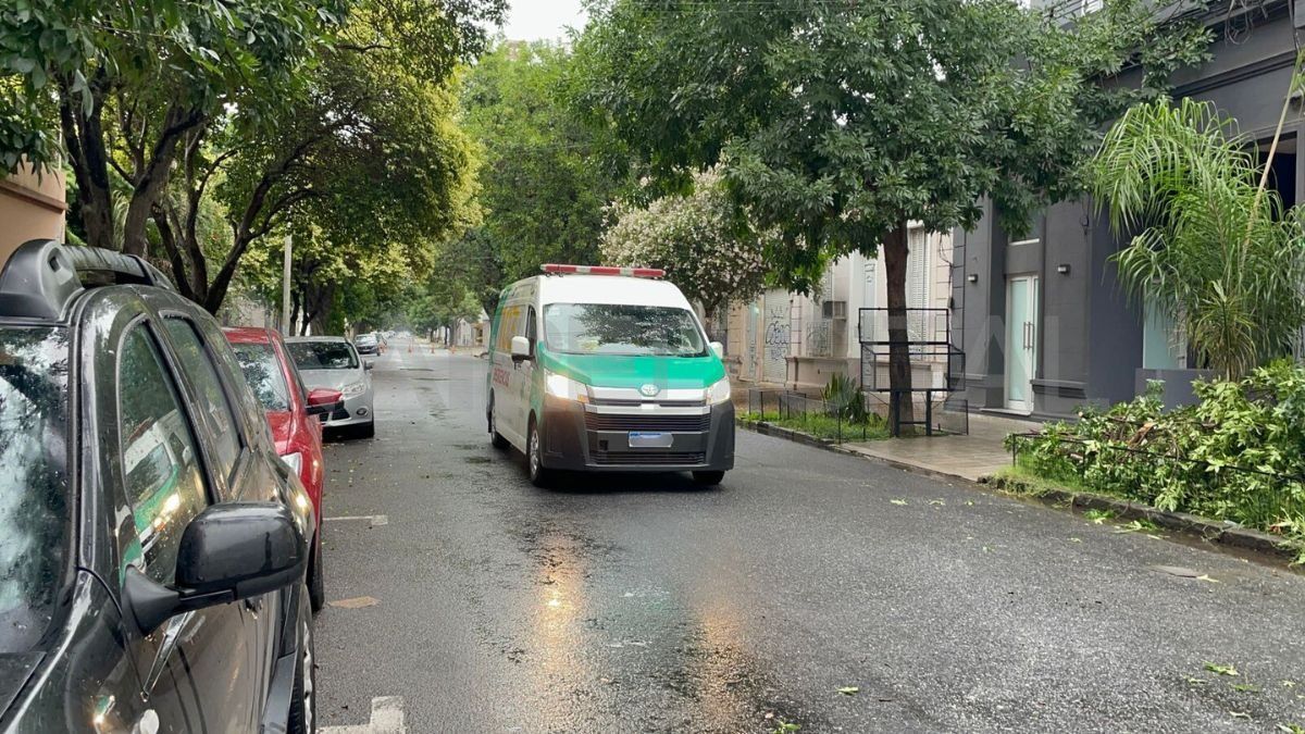 Personal de la Brigada de Emergencias Municipal trabajó en la remoción del árbol. Personal de la Brigada de Emergencias Municipal trabajó en la remoción del árbol.
