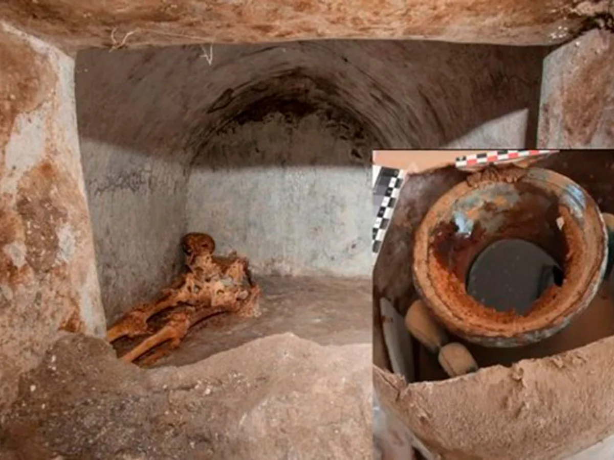 Un tesoro arqueológico: hallan en Pompeya el que podría ser el vino más antiguo del mundo