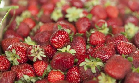 argentina actualiza su reglamento sobre calidad de la frutilla de acuerdo con el mercosur argentina actualiza su reglamento sobre calidad de la frutilla de acuerdo con el mercosur