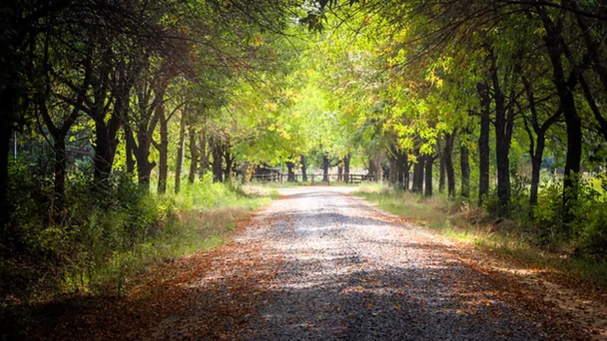 Este maravilloso destino cuenta con paisajes rurales únicos y una gran gastronomía para degustar. Este maravilloso destino cuenta con paisajes rurales únicos y una gran gastronomía para degustar.