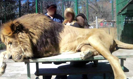 Crueldad: nuevas fotos y videos del maltrato animal en el zoológico de Luján Crueldad: nuevas fotos y videos del maltrato animal en el zoológico de Luján