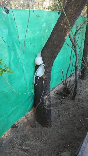 Denuncian que prostitutas usan un jardín de infantes como albergue transitorio