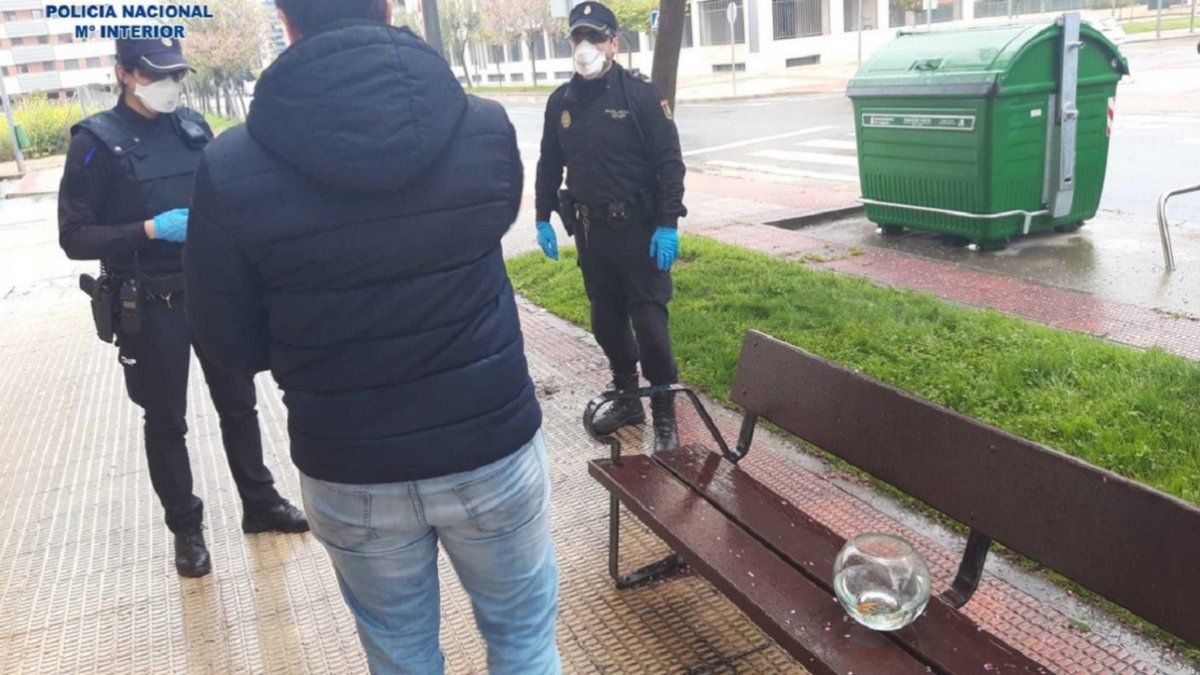 Foto: en España un hombre rompió la cuarentena y sacó a pasea a sus peces