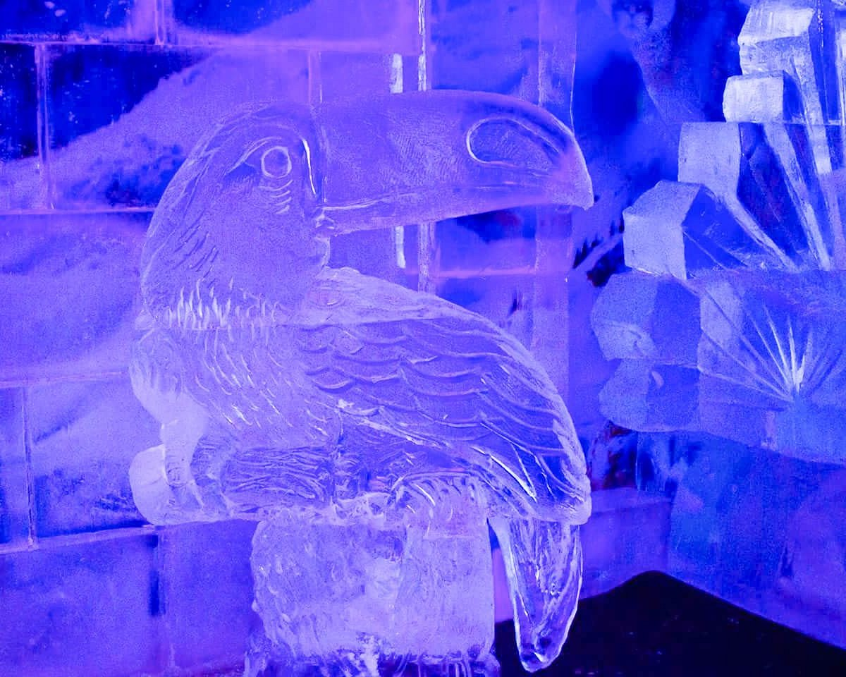 Visita al Icebar Iguaz&uacute;