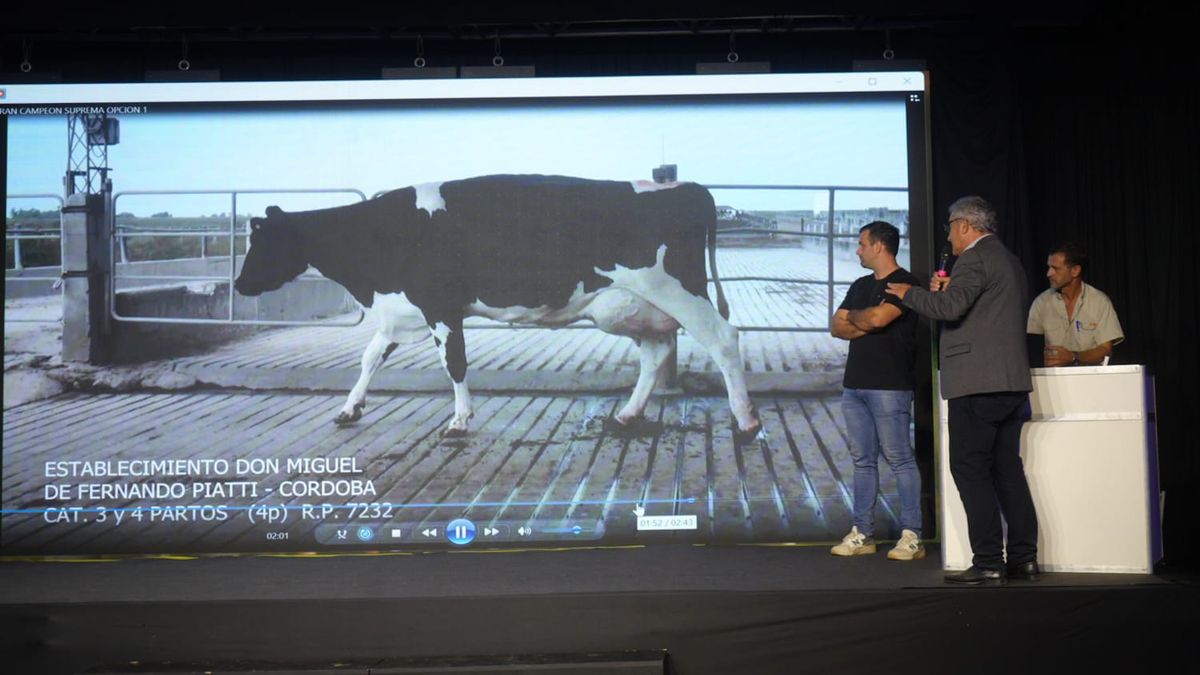 La Vaca Suprema de TodoLáctea 2025 pertenece al establecimiento Don Miguel