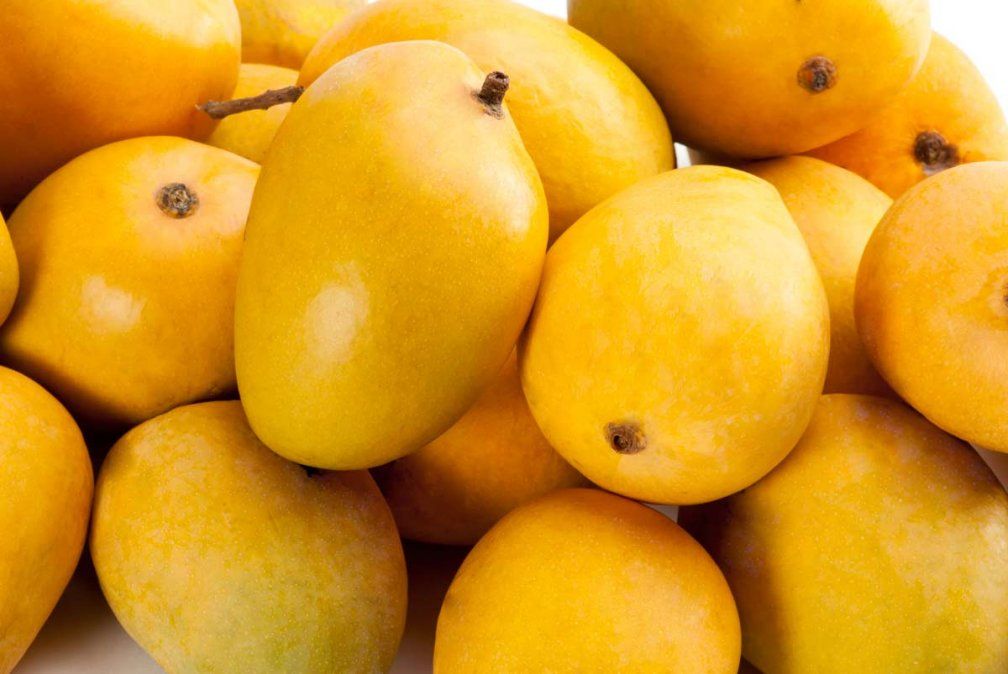 Recetas con mango