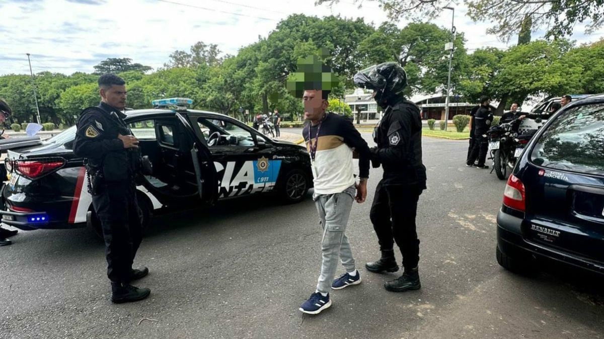 Según el proyecto en cuestión