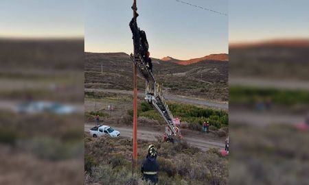 Quedó dos horas colgado cuando robaba cables con su mujer y su bebé en la ruta: debió ser rescatado Quedó dos horas colgado cuando robaba cables con su mujer y su bebé en la ruta: debió ser rescatado