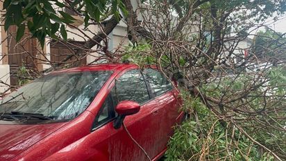 Tormenta en Santa Fe: la EPE informó que se encuentra normalizado el servicio en la ciudad