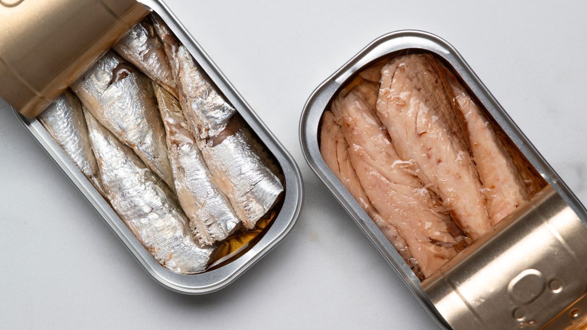 Ni atún ni salmón: el pescado que pocos consumen y ayuda a mejorar la memoria y reducir el colesterol