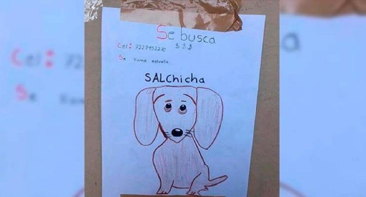 Un nene de 11 años perdió a su mascota, no tiene fotos y la busca con un dibujo
