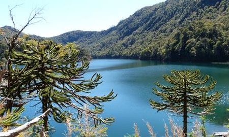 versiones sobre el hallazgo de un cuerpo en chile alertan al gobierno versiones sobre el hallazgo de un cuerpo en chile alertan al gobierno