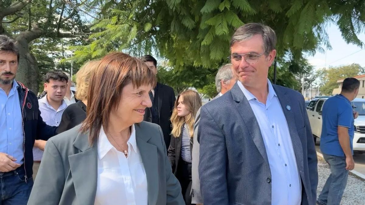 Como referente de La Libertad Avanza, Meyer se identific&oacute; hace tiemo con Patricia Bullrich
