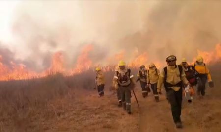 Los incendios forestales en el Delta del Paraná se siguen produciendo y ya se devoraron, este año, por lo menos unas 231.947 hectáreas. Los incendios forestales en el Delta del Paraná se siguen produciendo y ya se devoraron, este año, por lo menos unas 231.947 hectáreas.