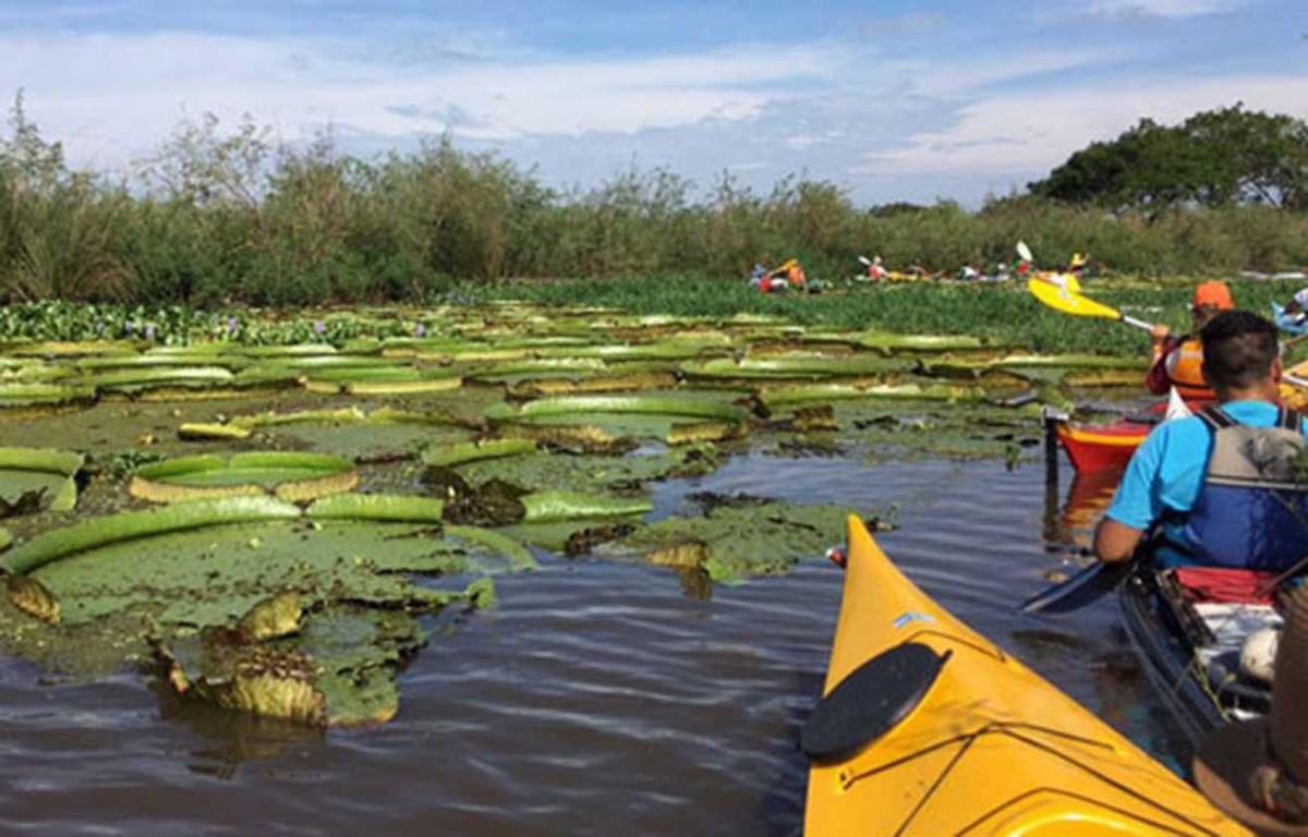 Ecoturismo en el Humedal Jaaukanig&aacute;s.