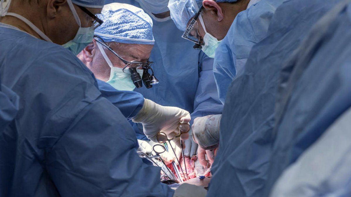 Donación y trasplante de órganos en tiempos de coronavirus: cuando la vida no puede esperar a que pase la cuarentena