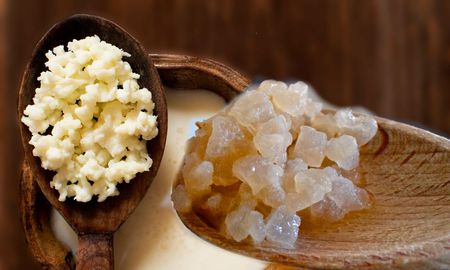 Kéfir con leche, alimentación consciente para el cuerpo. Kéfir con leche, alimentación consciente para el cuerpo.