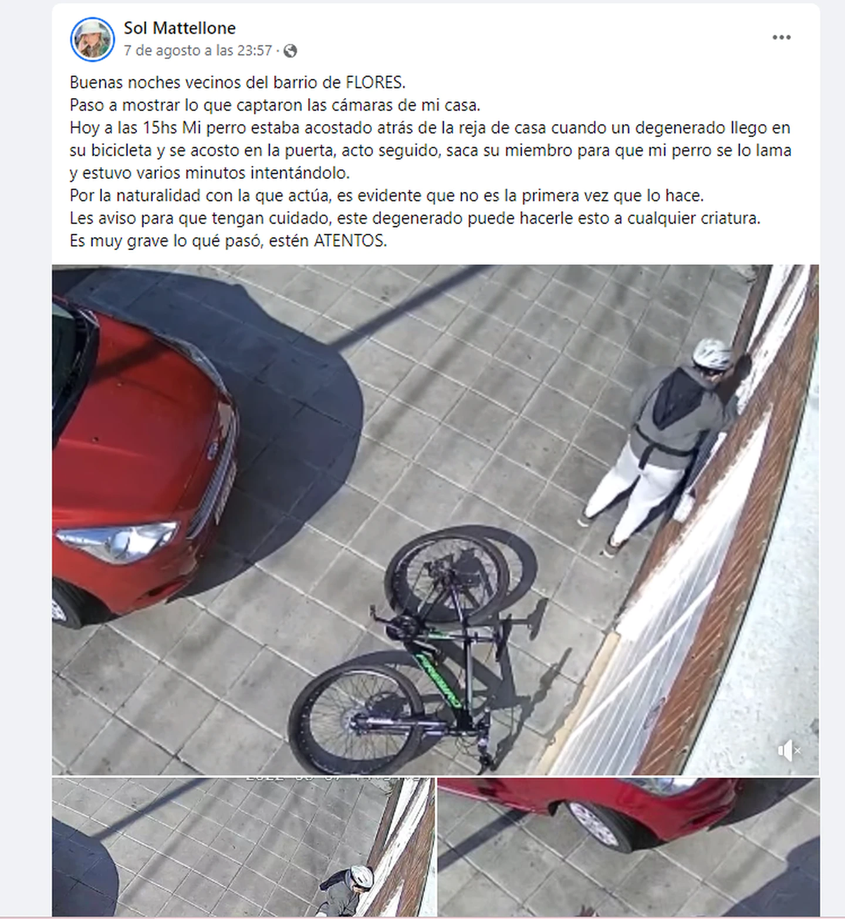 Acarició al perro de una vecina y se toco 