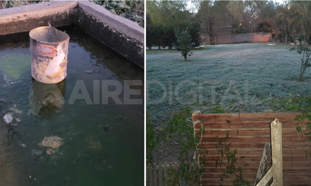 Las mejores imágenes de la helada en zonas rurales y localidades cercanas a la ciudad de Santa Fe. Las mejores imágenes de la helada en zonas rurales y localidades cercanas a la ciudad de Santa Fe.