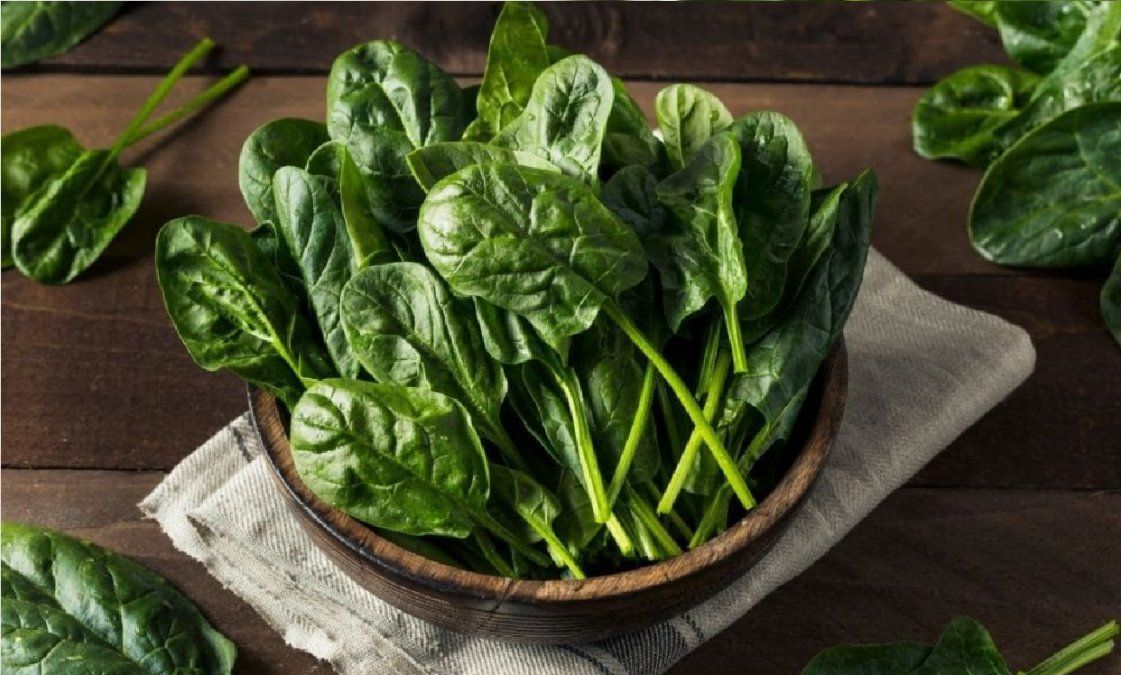 Las espinacas y su poder curativo