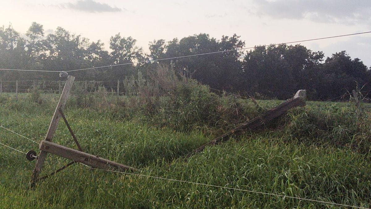 Nueve postes ca&iacute;dos sobre la 67-S y operativo el&eacute;ctrico en marcha.