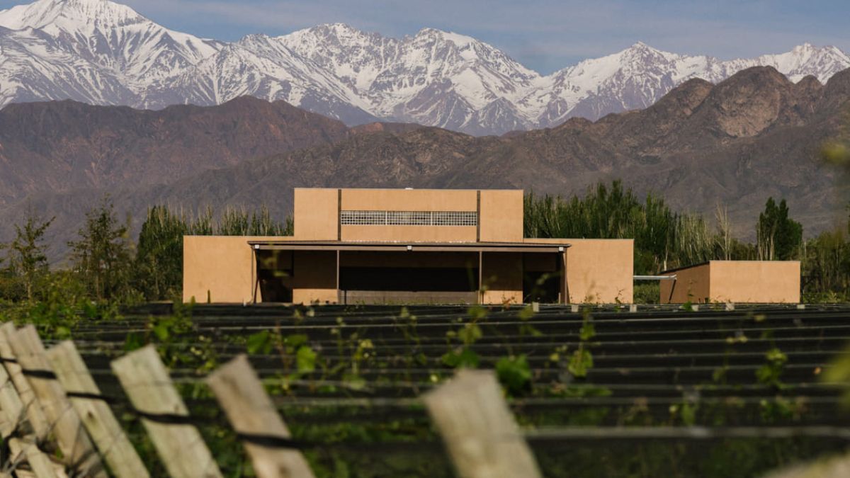 Finca Bandini, una de las bodegas más jóvenes de Mendoza, destaca por su conexión con la tradición vinícola de la región. Finca Bandini, una de las bodegas más jóvenes de Mendoza, destaca por su conexión con la tradición vinícola de la región.