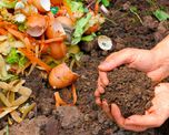 formas rapidas de hacer abono organico casero para tus plantas formas rapidas de hacer abono organico casero para tus plantas