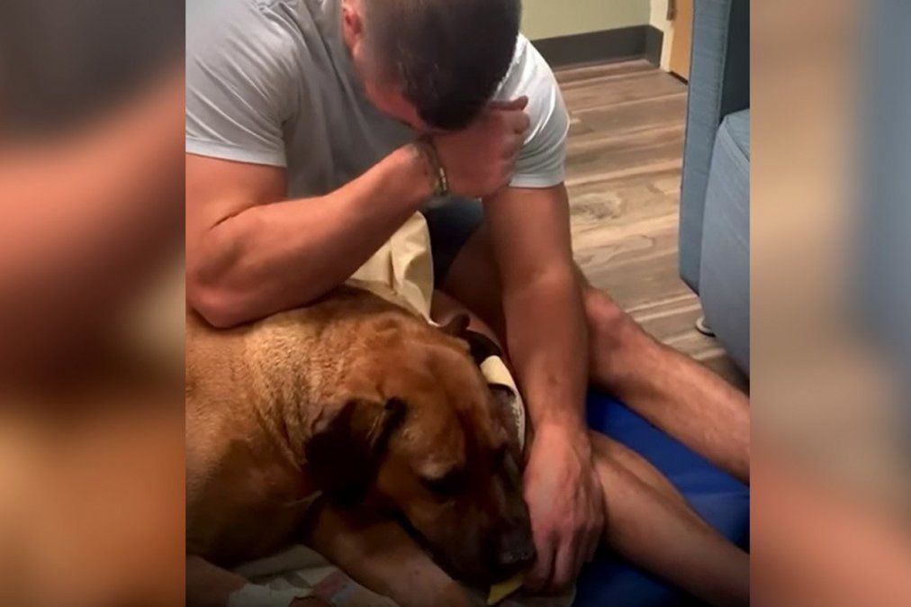 Desgarradora escena de un hombre mientras da de comer a su perro por última vez