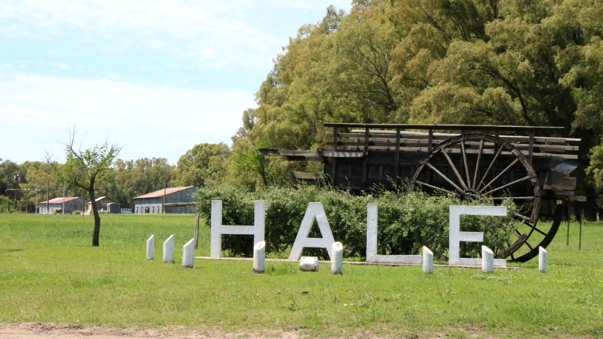 Descubre Hale: un tesoro escondido de Buenos Aires para conectar con la