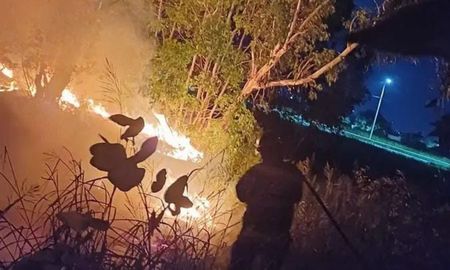 Al menos una dotación de bomberos salió desde el cuartel hacia el lugar. Al menos una dotación de bomberos salió desde el cuartel hacia el lugar.