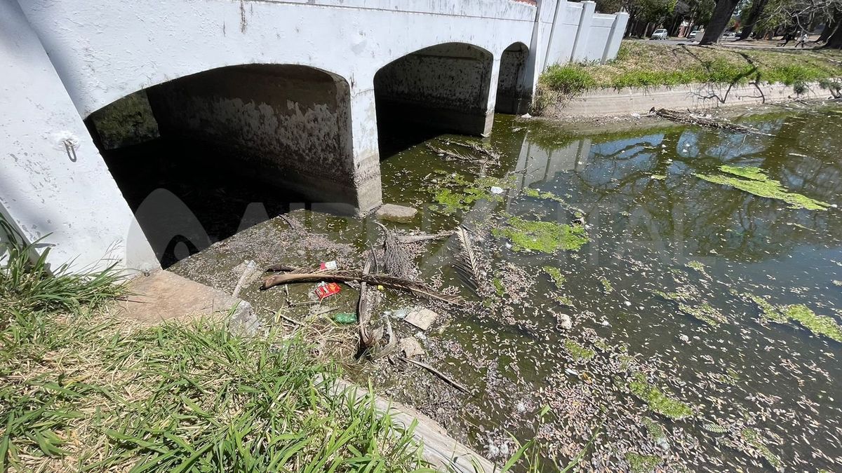 Vecinos denuncian que hay basura en el Parque Garay y que el lago está casi seco. Vecinos denuncian que hay basura en el Parque Garay y que el lago está casi seco.